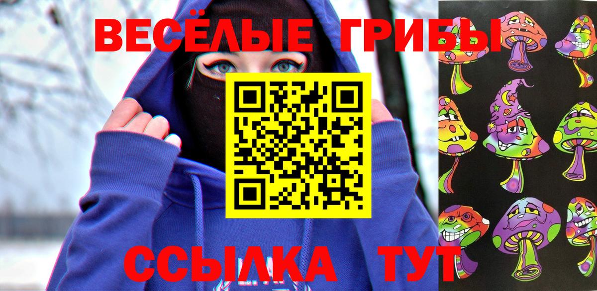 Псилоцибиновые грибы Cubensis  Вход с VPN  Казань 