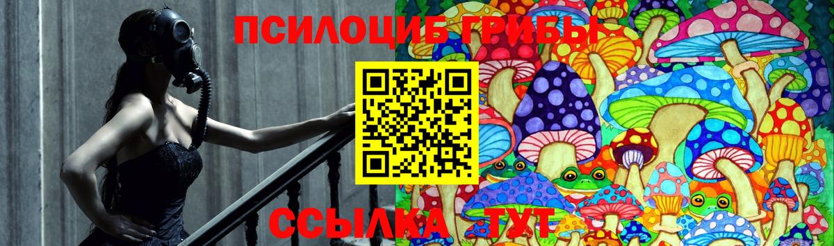 Галлюциногенные грибы Psilocybine cubensis Казань